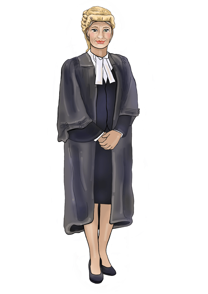 Defence Lawyers