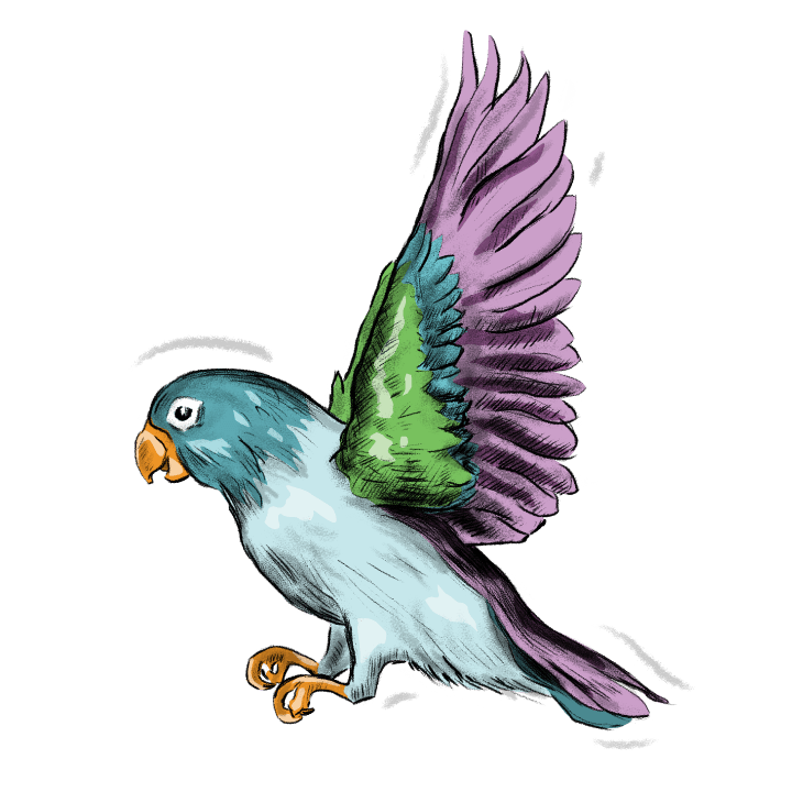 PACT Bird