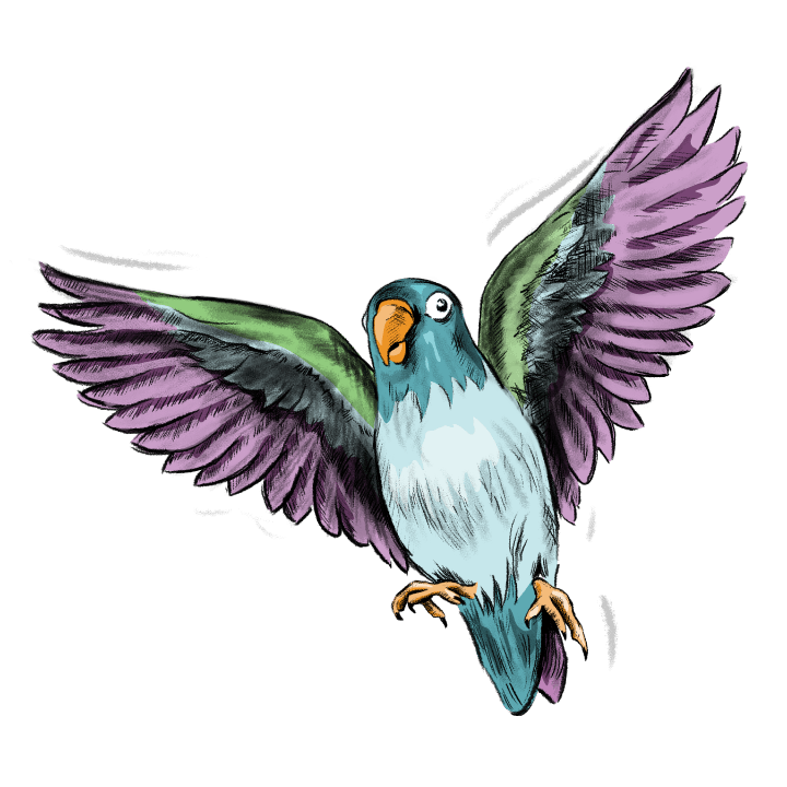 PACT Bird