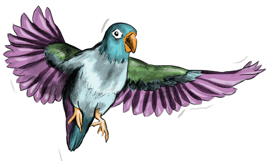 PACT Bird
